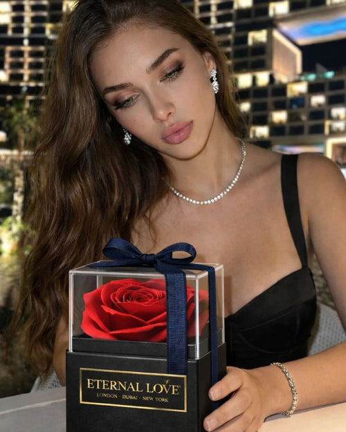 Midnight Kiss Rose