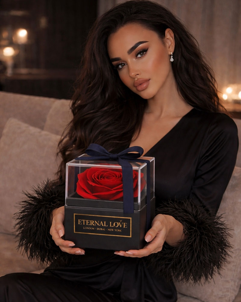 Midnight Kiss Rose